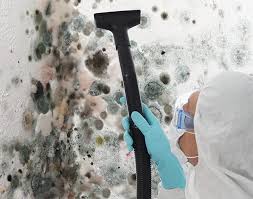 Forensic Mold Investigation in Germantown Hills, IL